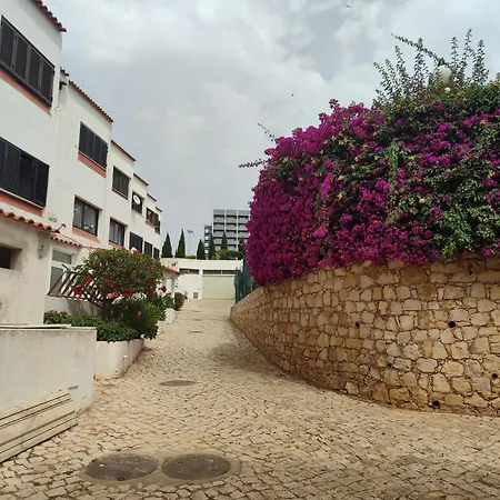 Center Monte Choro Flat With Pool *